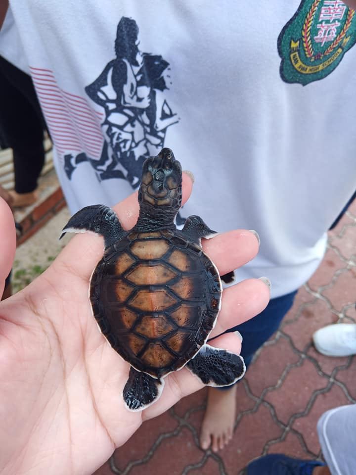 714海龟节宿舍生收获良多