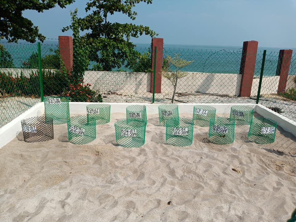 714海龟节宿舍生收获良多
