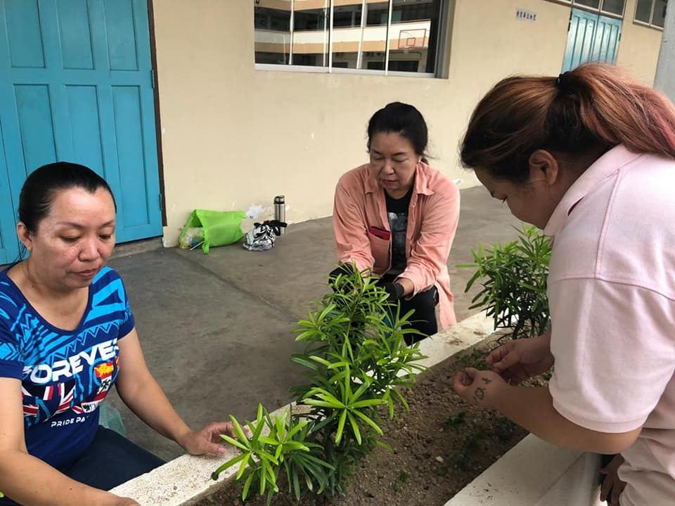 感谢家联和学生协助美化及清理校园