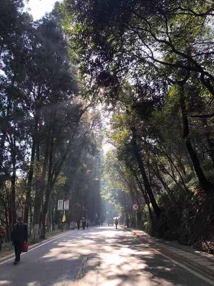 今天南华天使们要挑战自己，攀爬西山并且到龙门景区参观。