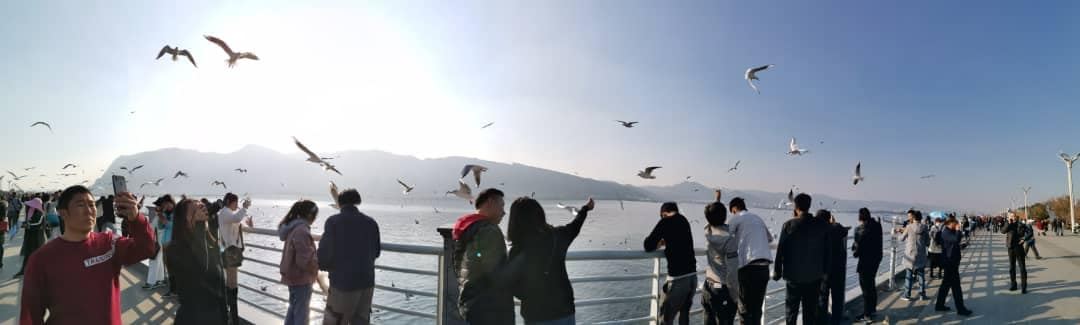 现在南华天使们来到了海埂大坝。它是昆明看海鸥的一个不错选择。地方宽敞,也没有门票