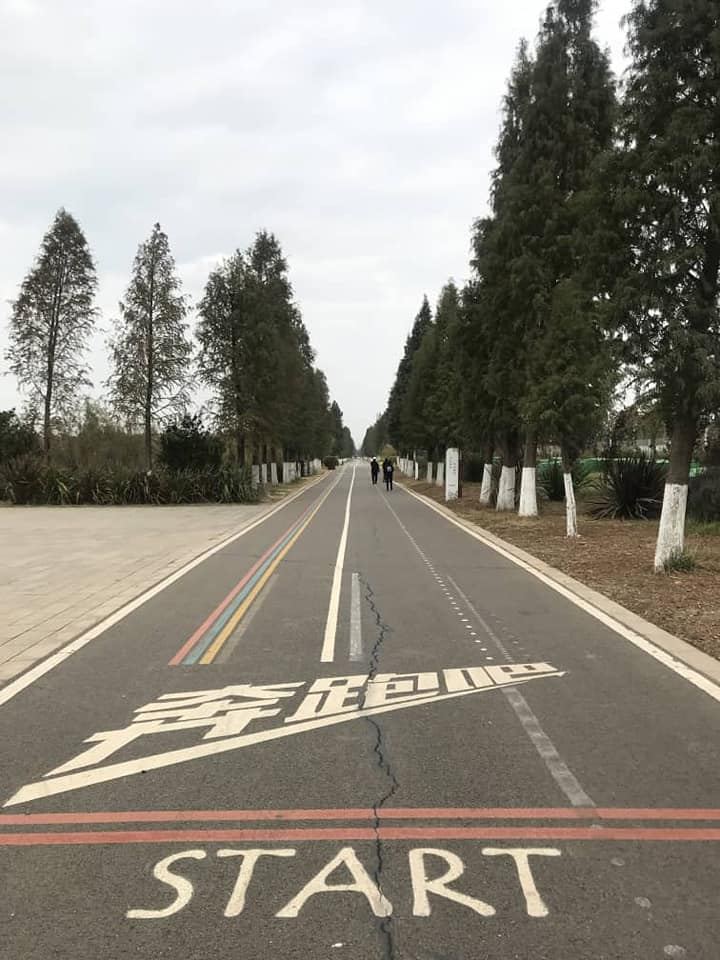 今早南华天使到昆明海东湿地公园晨运及欣赏湿地公园的生态环境。之后便到了斗南花卉市
