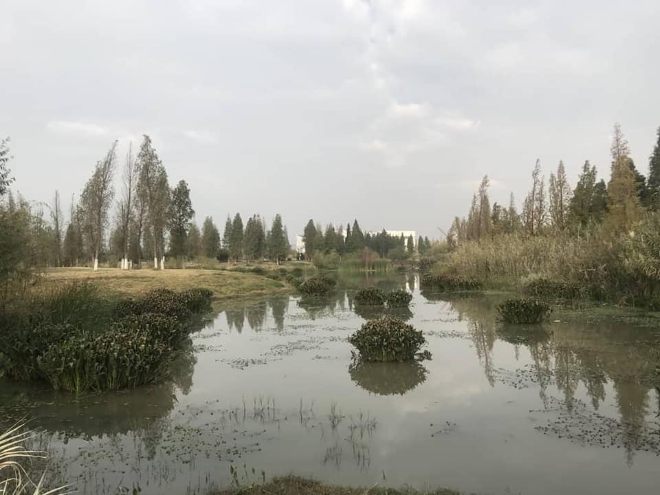 今早南华天使到昆明海东湿地公园晨运及欣赏湿地公园的生态环境。之后便到了斗南花卉市