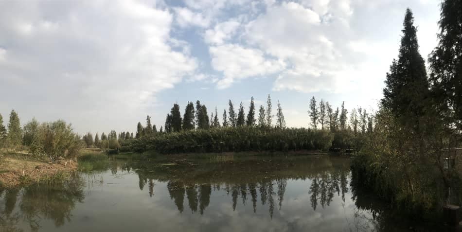 今早南华天使到昆明海东湿地公园晨运及欣赏湿地公园的生态环境。之后便到了斗南花卉市