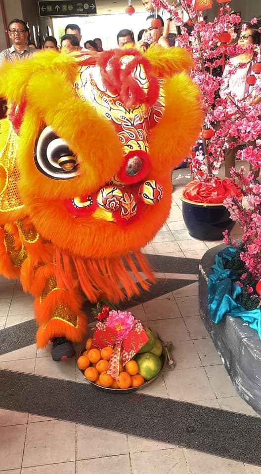南华独中醒狮团到玛丽娜岛采青。