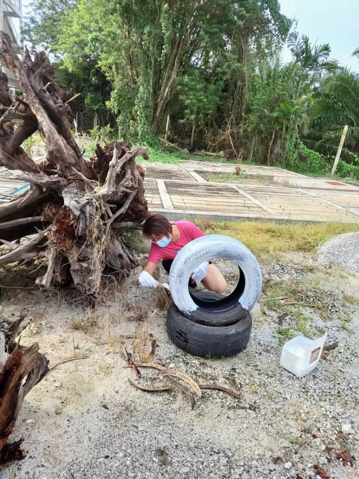 美化校园，绿化校园，净化校园。。。感谢董事、家联理事和寄宿生一起携手爱护、一起携