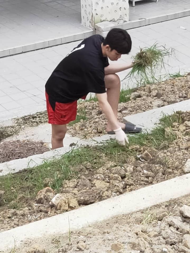 美化校园，绿化校园，净化校园。。。感谢董事、家联理事和寄宿生一起携手爱护、一起携