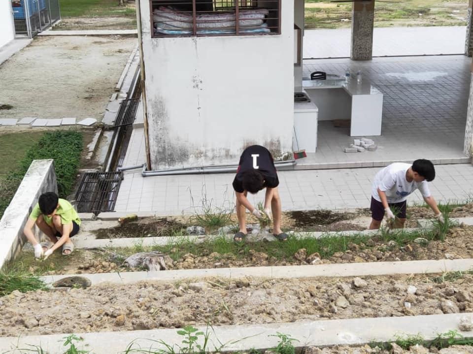美化校园，绿化校园，净化校园。。。感谢董事、家联理事和寄宿生一起携手爱护、一起携