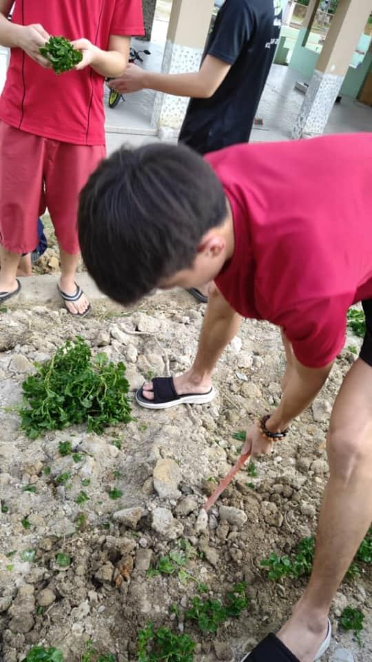 美化校园由我做起。