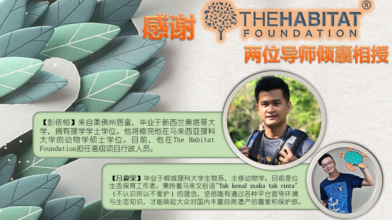 感谢The Habitat Foundation于2021年度授予十二堂“环境教